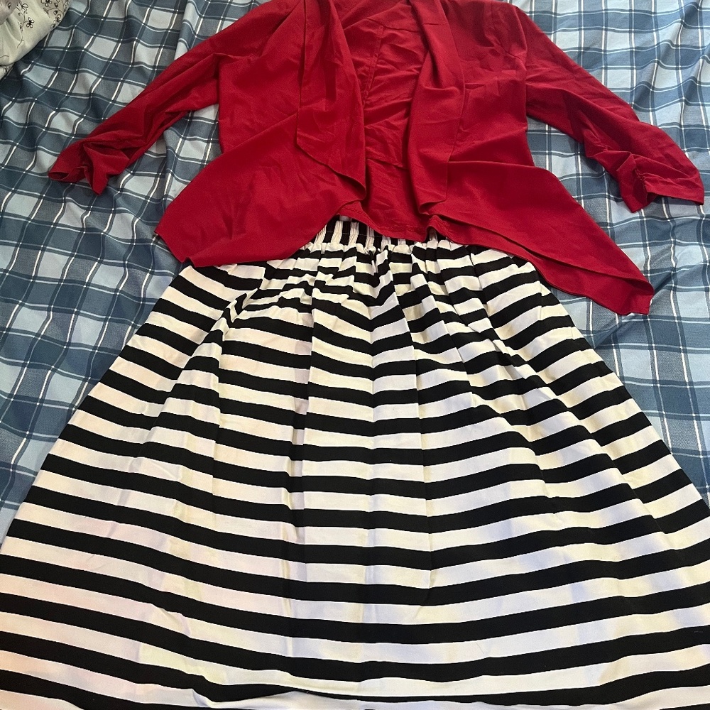Skirt and blouse